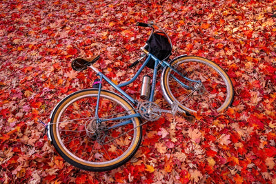 Every Season is Fender Season